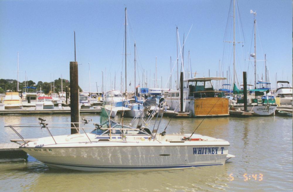 Boat #2
1985 Sea Ray Walk Around 20'
350 V8
"Whitney T"
