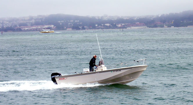Boat #6 (Current)
1993 Boston Whaler - Outrage 22
1998 Mercury 200 EFI Offshore
"Salmon Sucker II"