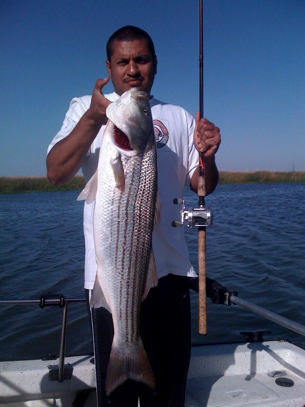 Gilbert with first ever trophy striper.  C&R