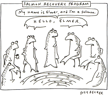 salmon recovery
