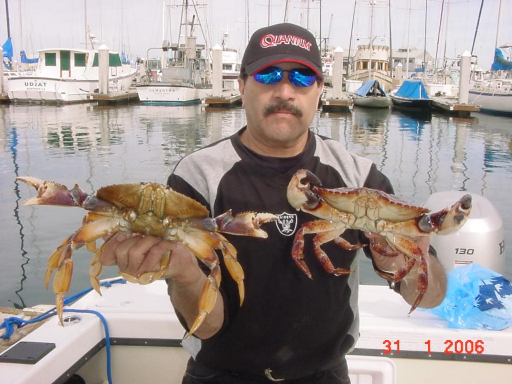 Vi holding crabs