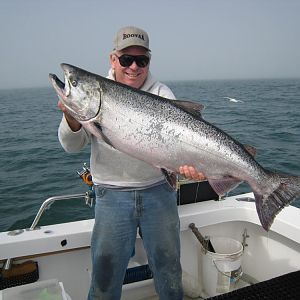 salmon-steelhead