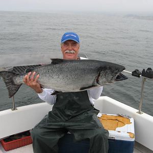 Grizzlys Salmon Pictures