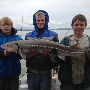 Sturgeon 3/17/12