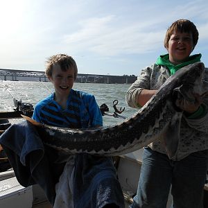 2012 Sturgeon