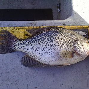 Fishing with family and friends