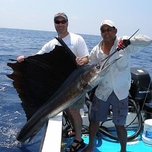 Costa Rica sailfish