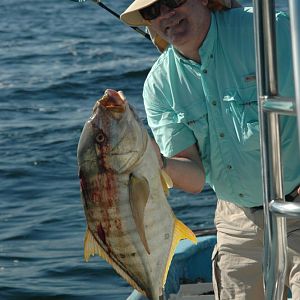 Golden Jack out of Puerto Vallarta