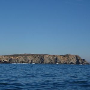 Bodega Head