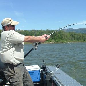 "Kingfisher" Chris battling a monster on the Columbia May, 2008.  At this point that super tight drag was sceaming. Many know this, but for those that