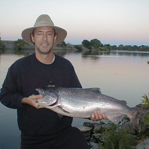 Sacramento River Salmon 1