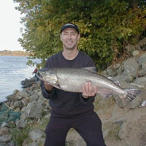 Sacramento River Salmon 2