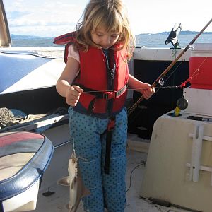 Little Fishergirl