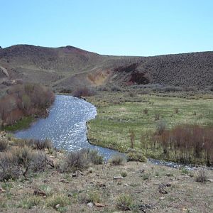 Walker River, Trout opener