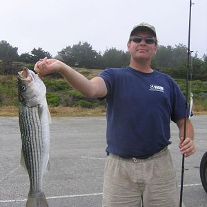 San G surf striper, summer '06