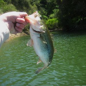 Stevens Creek Reservoir