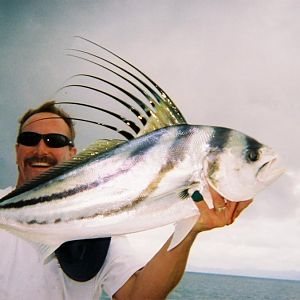 Costa Rica -Rooster fish