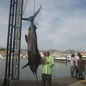 Cabo san lucas 320lbs Black Marlin. Died in fight :(