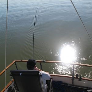 "fish on", crockett area 2008