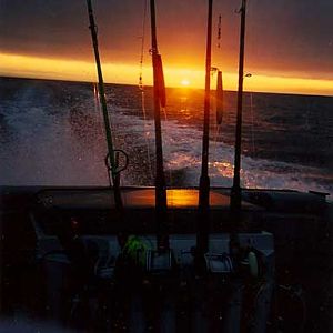 Sunrise on the way for tuna