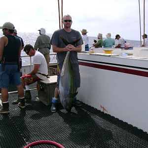 110 lb yellowfin