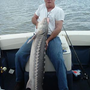 Joe Hawkins with one before released. (Joe's the 1st & 2nd IGFA 6 lb Sturgeon record holder. I was fortunate, both caught on my boat...
