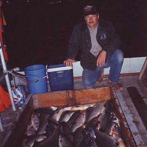 Gerlin Fish hold full of 2100+ Sockeye Salmon