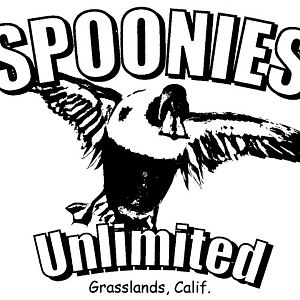 spoonie T-shirts