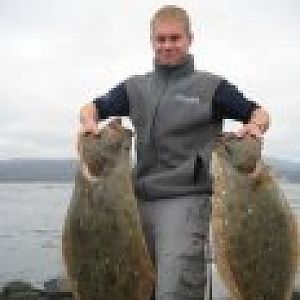 Halibut 2008. HMB. 48'' and 39'' Monsters!