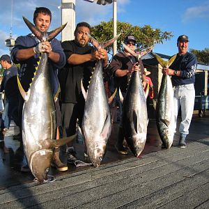 the rocks produce/75lb toad yellowtail!