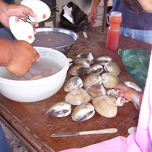 100 1416  San Quintin clams.