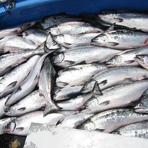 30 limits of teenagers fishing offshore