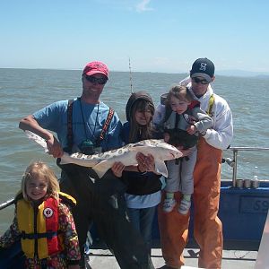 Leopard Shark on the kids trip