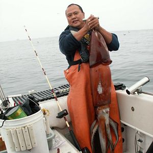 Monterey H Squid 10 26 08