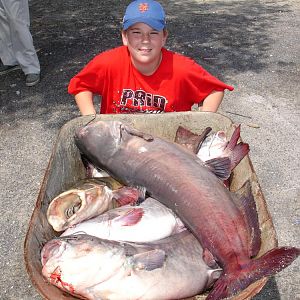 South Carolina 2009 049