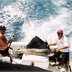 My Sailfish Mazatlan 2003