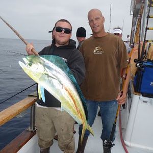 Nice Dorado