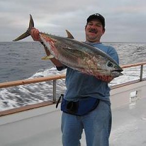 Yellowfin in September