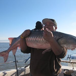 Cams first sturgeon!  64 1/2 released!