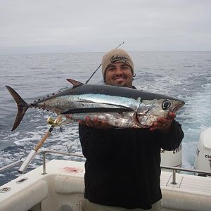 tuna  2009