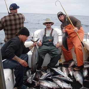 tuna 2009