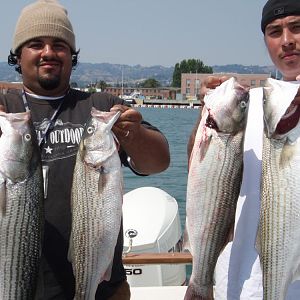 striper 2009