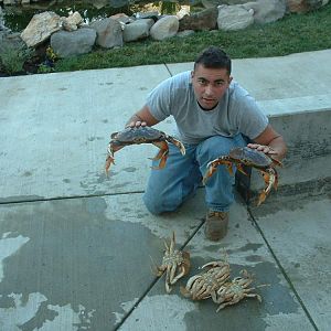 HMB Crab. Notice, the crab are smiling for the picture!