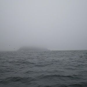 Point Sur In The Fog