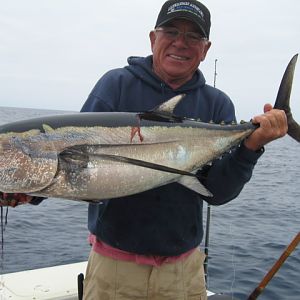 Nice longfin!