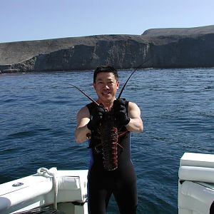 Channel island- lobster