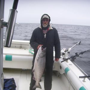 big salmon 3