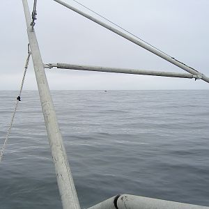 22 miles off Bodega, 7-2010