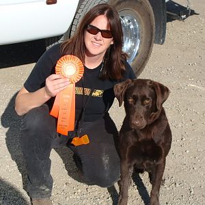 Cabo's AKC Junior Hunter title, November 2009 in Lost Hills, CA