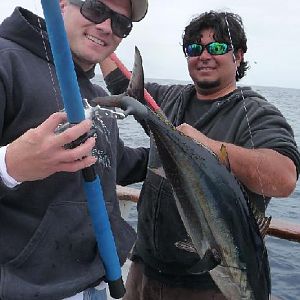 Second bluefin